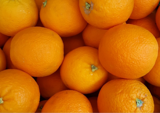Oranges sanguines Bio